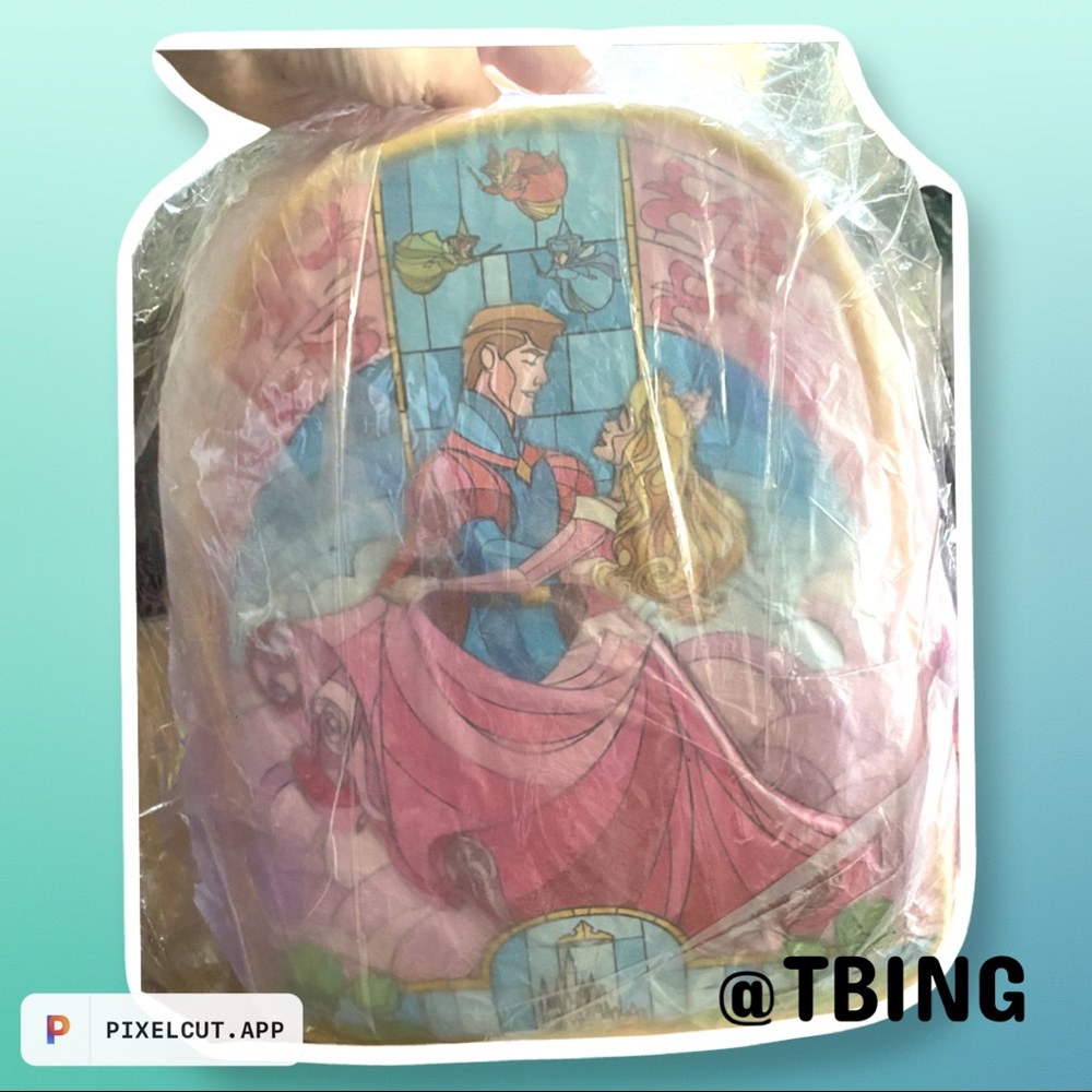 Princess Backpack bundle! - Picture 3 of 3